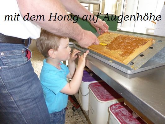 Bienen_und_Honig_2015